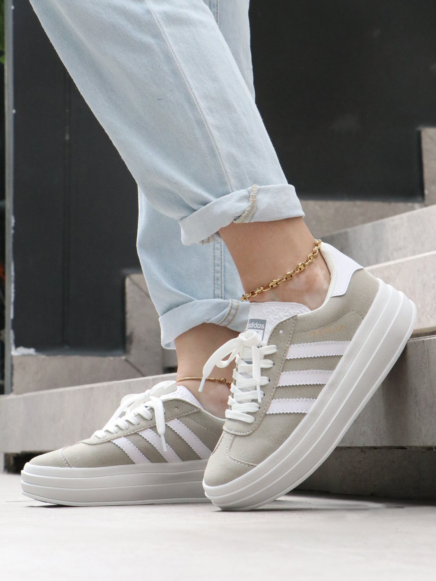 Y23 Gazelle Bold