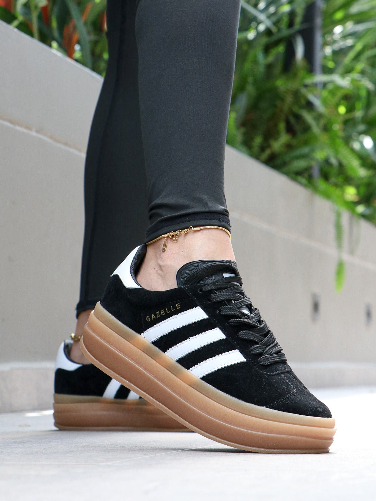 Y23 Gazelle Bold